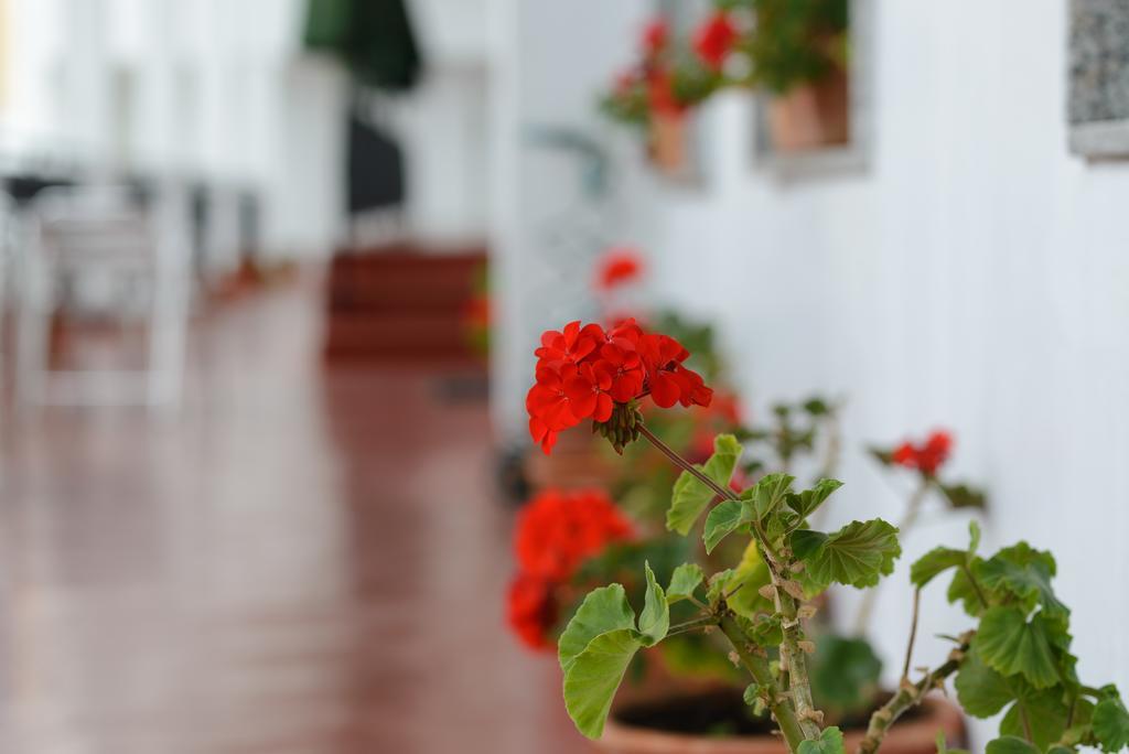 Hotel La Terraza Sanxenxo Kültér fotó